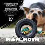 Chew King by Mammoth Set of 2 Glowing Fetch Ball, Durable Bouncy Interactive Toy for Pets & Dogs, Lightweight, 3 Inch, Fits Ball Launcher
