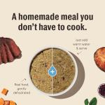 The Honest Kitchen Human Grade Wholemade™ Limited Ingredient Dehydrated Grain Free Fish Dog Food, 4lb