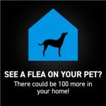 NEXTSTAR Flea and Tick Prevention for Dogs, Repellent & Control, Fast Acting Waterproof Topical Drops, Flea and Tick Prevention for Small Dogs, 1 Monthly Dose