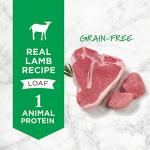 Instinct Limited Ingredient Diet, Wet Canned Dog Food, Grain Free - Real Lamb, 13.2 Ounce (Pack of 6)