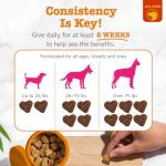 Zesty Paws Flea and Tick Prevention for Dogs Chewable - Prevention, Protection & Repellent - Dog Supplement to Kill & Control Fleas & Ticks - with Garlic, Thyme, Rosemary & Lemon Balm Extract - 90 Ct