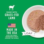 Instinct Limited Ingredient Diet, Wet Canned Dog Food, Grain Free - Real Lamb, 13.2 Ounce (Pack of 6)