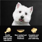 Cesar Filets in Gravy Wet Dog Food Rotisserie Chicken Flavor, Filet Mignon Flavor, and Wood-Grilled Chicken Variety Pack, Wet Food for Dogs, 1.76 oz. Mini-Pouches, 40 Count