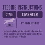 A Strong Heart Wet Dog Food Cups, Chicken & Liver Recipe - 3.5 oz Cups (Pack of 12), Made in The USA with Real Chicken & Liver