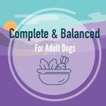 A Strong Heart Wet Dog Food Cups, Chicken & Liver Recipe - 3.5 oz Cups (Pack of 12), Made in The USA with Real Chicken & Liver