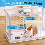 Interactive Dog Toys for Stress Relief and Training