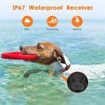 Waterproof Dog Training Collar with Remote Control