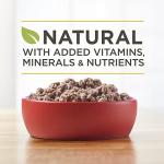 Purina ONE Wet Dog Food True Instinct Classic Ground Grain-Free Formula With Real Turkey And Venison High Protein Wet Dog Food - (Pack of 12) 13 oz. Cans