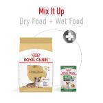 Royal Canin Chihuahua Adult 8+ Breed Specific Dry Dog Food for Senior Dogs, 2.5 lb. bag