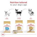 Royal Canin Chihuahua Adult 8+ Breed Specific Dry Dog Food for Senior Dogs, 2.5 lb. bag