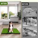 Dog Grass Pad with Tray, 34''X23'' Large Artificial Turf Grass Potty, Reusable Puppy Pee Pads for Dogs, Portable Dog Litter Box for Indoor/Outdoor Potty Training Toilet