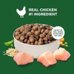 Nutrish Rachael Ray Adult Dry Dog Food Real Chicken & Veggies Recipe, 5 lb. Bag