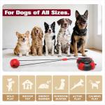 Sedioso Tough Dog Tug Toy for Aggressive Chewer with Ultra-Strong Suction Cup, Dog Pull Toy, Interactive Tug of War Toy for Small Medium and Large Dogs