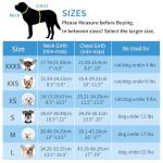 AIITLE Dog Harness and Leash Set - Ultra-Comfortable XXS-XL Vest with Strong Magic Tape & Glow-in-Dark Reflective Strips, Chafe-Free for Teddy, Schnauzer (Brown-Beige, M)