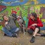 Mendota Pet Snap Leash - British-Style Braided Dog Lead, Made in The USA - Black Ice Red, 3/8 in x 4 ft - for Small/Medium Breeds