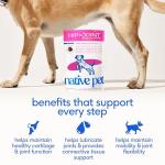 Native Pet Mobility Care - Hip & Joint Supplement for Dogs - UC-II Collagen, Egg Shell Membrane & Hyaluronic Acid - Dog Joint Supplement Chews Supports Cartilage, Mobility & Flexibility - 60 Chews