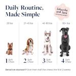 Veterinary Formula Smart Vitality Hip & Joint Supplement for Dogs with Glucosamine – Dog Joint Support, Dog Supplements for Mobility & Flexibility, 60ct