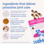 Native Pet Mobility Care - Hip & Joint Supplement for Dogs - UC-II Collagen, Egg Shell Membrane & Hyaluronic Acid - Dog Joint Supplement Chews Supports Cartilage, Mobility & Flexibility - 60 Chews