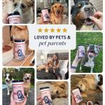 Veterinary Formula Smart Vitality Hip & Joint Supplement for Dogs with Glucosamine – Dog Joint Support, Dog Supplements for Mobility & Flexibility, 60ct