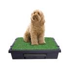 PetSafe Pet Loo Portable Dog Potty - Pet Toilet Alternative for Puppy Pads - Medium - Perfect for House Training - Easy-to-Clean Grass Mat