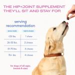 Native Pet Mobility Care - Hip & Joint Supplement for Dogs - UC-II Collagen, Egg Shell Membrane & Hyaluronic Acid - Dog Joint Supplement Chews Supports Cartilage, Mobility & Flexibility - 60 Chews