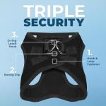 Best Pet Supplies Voyager Step-in Air All Weather Mesh Harness and Reflective Dog 5ft Leash Combo with Neoprene Handle, for Small, Medium and Large Breed Puppies - Set (Black), Small