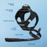 Best Pet Supplies Voyager Step-in Air All Weather Mesh Harness and Reflective Dog 5ft Leash Combo with Neoprene Handle, for Small, Medium and Large Breed Puppies - Set (Black), Small