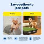 PetSafe Pet Loo Portable Dog Potty - Pet Toilet Alternative for Puppy Pads - Medium - Perfect for House Training - Easy-to-Clean Grass Mat