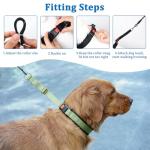 Mayerzon No Pull Martingale Dog Collar - Green