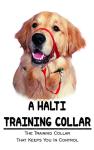 A Halti Training Collar: The Training Collar That Keeps You In Control