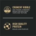 Purina Pro Plan High Protein Puppy Food Shredded Blend Chicken & Rice Formula - 18 lb. Bag