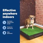 PetSafe Pet Loo Portable Dog Potty - Pet Toilet Alternative for Puppy Pads - Medium - Perfect for House Training - Easy-to-Clean Grass Mat