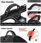 PoyPet Dog Harness and Leash Combo, Escape Proof No Pull Vest Harness, with 5 Feet Leash, Reflective Adjustable Soft Padded Pet Harness with Handle for Small to Large Dogs(Black,M)