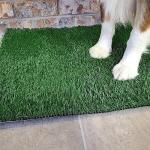 Dog Grass Pet Loo Indoor/Outdoor Portable Potty, Dog Litter Box, Artificial Grass Patch Bathroom Mat and Washable Pee Pad for Puppy Training, Full System with Trays (Pet Training Tray, 20"x16")