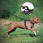 PoyPet Dog Harness and Leash Combo, Escape Proof No Pull Vest Harness, with 5 Feet Leash, Reflective Adjustable Soft Padded Pet Harness with Handle for Small to Large Dogs(Black,M)