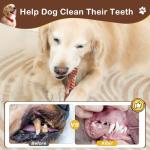 NOUGAT Indestructible Dog Toys - 3 Pack Tough Nylon Bacon Flavor Chew Toys for Large, Medium & Small Breeds