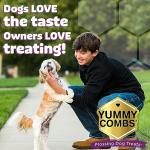 Yummy Combs Dog Dental Treats – Vet VOHC Approved – Delicious Chicken Protein – Removes Tartar with Cleaning Comb Shape – Dental Dog Treats for Extra Small Dogs (24oz, 96 Count)