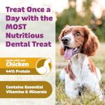 Yummy Combs Dog Dental Treats – Vet VOHC Approved – Delicious Chicken Protein – Removes Tartar with Cleaning Comb Shape – Dental Dog Treats for Extra Small Dogs (24oz, 96 Count)