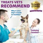 Yummy Combs Dog Dental Treats – Vet VOHC Approved – Delicious Chicken Protein – Removes Tartar with Cleaning Comb Shape – Dental Dog Treats for Extra Small Dogs (24oz, 96 Count)