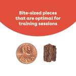 Pupford Soft & Chewy Training Treats for Dogs & Puppies (Beef, 10 oz)