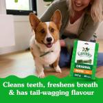 Greenies Veterinarian-Recommended Adult Natural Dental Dog Treats Petite Size, Dog Dental Chews, Original Flavor, 27 oz. Pack, 45 Count