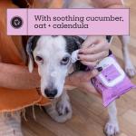 Pet Life Unlimited Dog Ear Wipes, Dog Eye Wipes - Plant-Based Dog Ear Cleaner Wipes with Moisturizing Aloe Leaf & Soothing Chamomile - Fragrance Free Eye and Ear Wipes for Dogs - 30 Count (Pack of 1)