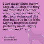 Pet Life Unlimited Dog Ear Wipes, Dog Eye Wipes - Plant-Based Dog Ear Cleaner Wipes with Moisturizing Aloe Leaf & Soothing Chamomile - Fragrance Free Eye and Ear Wipes for Dogs - 30 Count (Pack of 1)