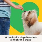 Beef Liver Dog Treats Freeze Dried - Single Ingredient Human Grade Raw Liver Bites for Training, Meal Topper, No Additives - High Protein(31g Per Cup)Training Treats for Dogs, Made in the USA, 4oz Bag