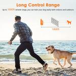 Waterproof Dog Training Collar with Remote Control