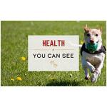 Merrick Limited Ingredient Diet Healthy Grains Canned Wet Dog Food Chicken & Brown Rice Recipe for Adult Dogs, 12.7 oz Can