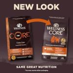 Wellness CORE Adult Dry Dog Food, Grain Free Kibble, Natural, High Protein, Turkey and Chicken Recipe, 4 lb Bag