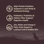 Wellness CORE Adult Dry Dog Food, Grain Free Kibble, Natural, High Protein, Turkey and Chicken Recipe, 4 lb Bag