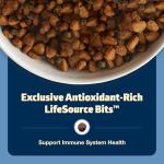 Blue Buffalo Freedom Grain-Free Dry Dog Food, Complete & Balanced Nutrition for Adult Dogs, Made in the USA with Natural Ingredients, Chicken & Potatoes, 11-lb Bag