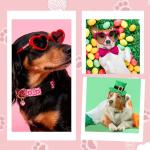 Guiqulai 3 Pack Spring Summer Dog Collars, Adjustable Puppy Collars with Spring Summer Green Leaves Peach Pattern Quick Release Buckle Charm for Small Medium Girl Dogs, Holiday Seasonal Pet Collar